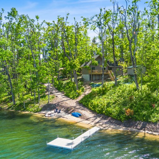 Aerial view — the home tucked in the birches above the lake