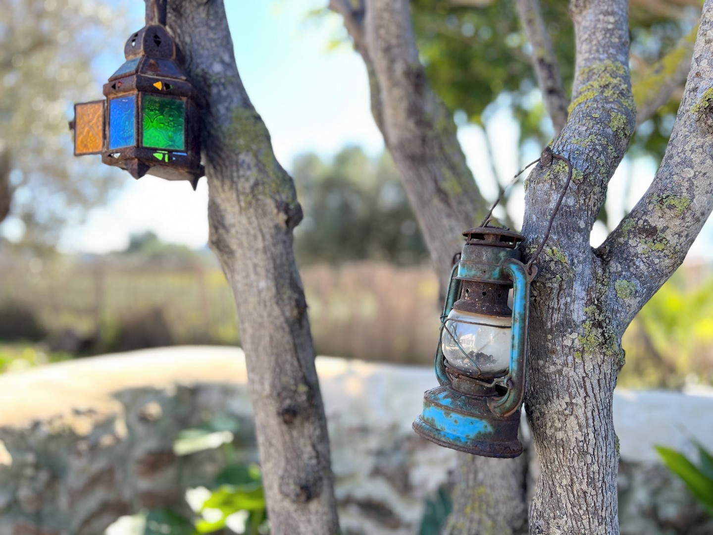 Lanterns strung through the trees, the garden after dark, Villa Suki, Ibiza.