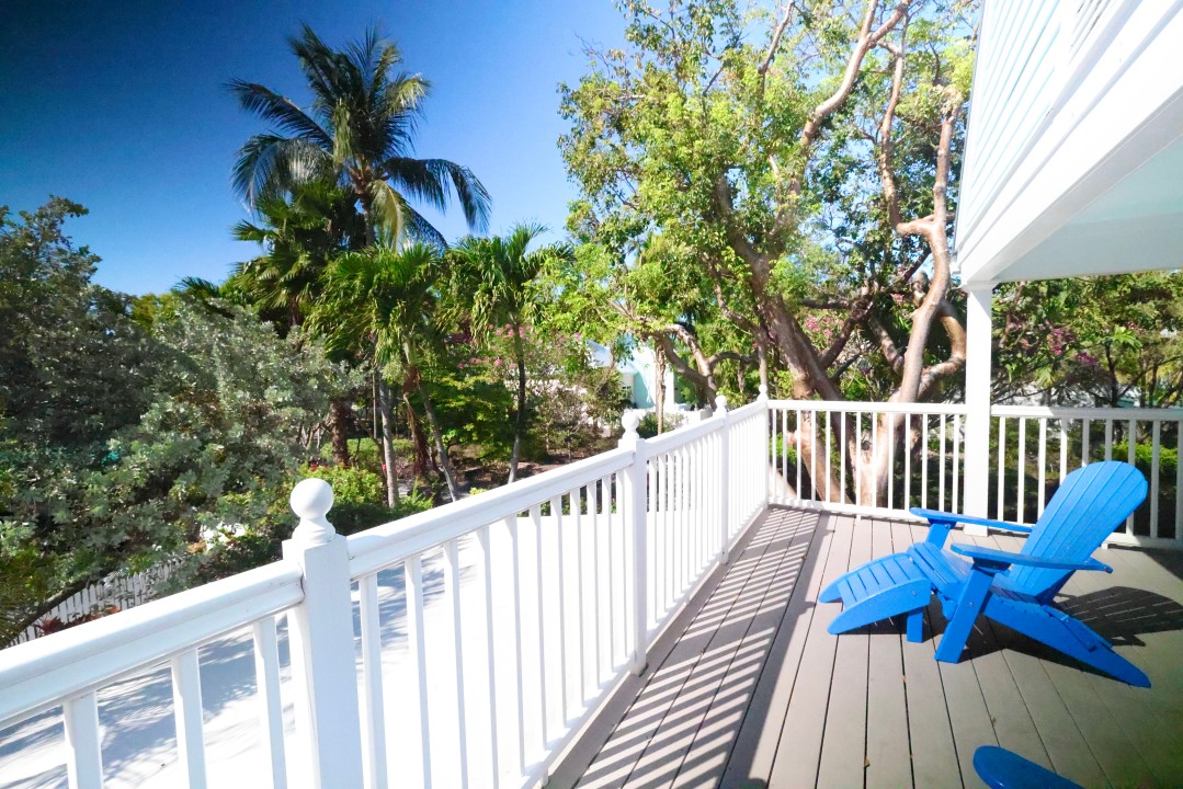 Shipyard Poolside — Beautiful Tropical Foliage