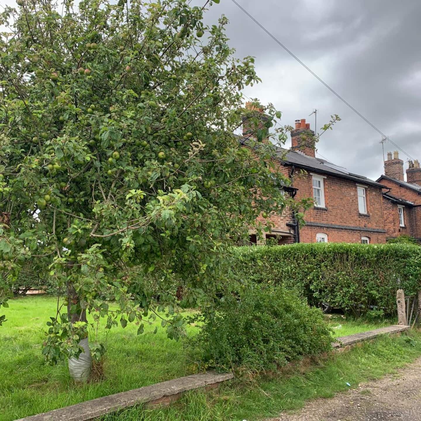 Lock Keeper's Cottage — Cheshire holiday cottage photo 40