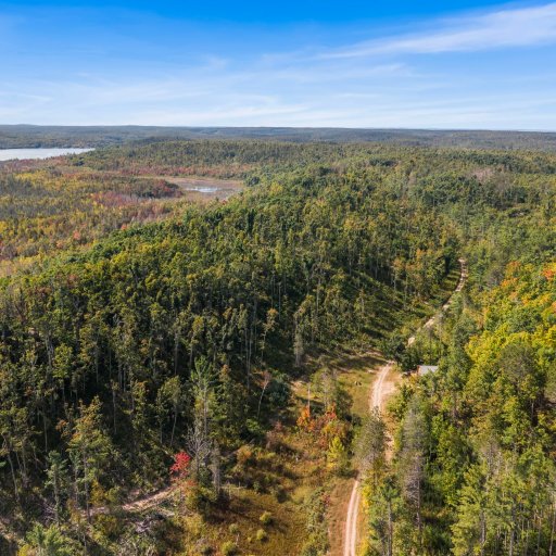 Forest and lakes in every direction