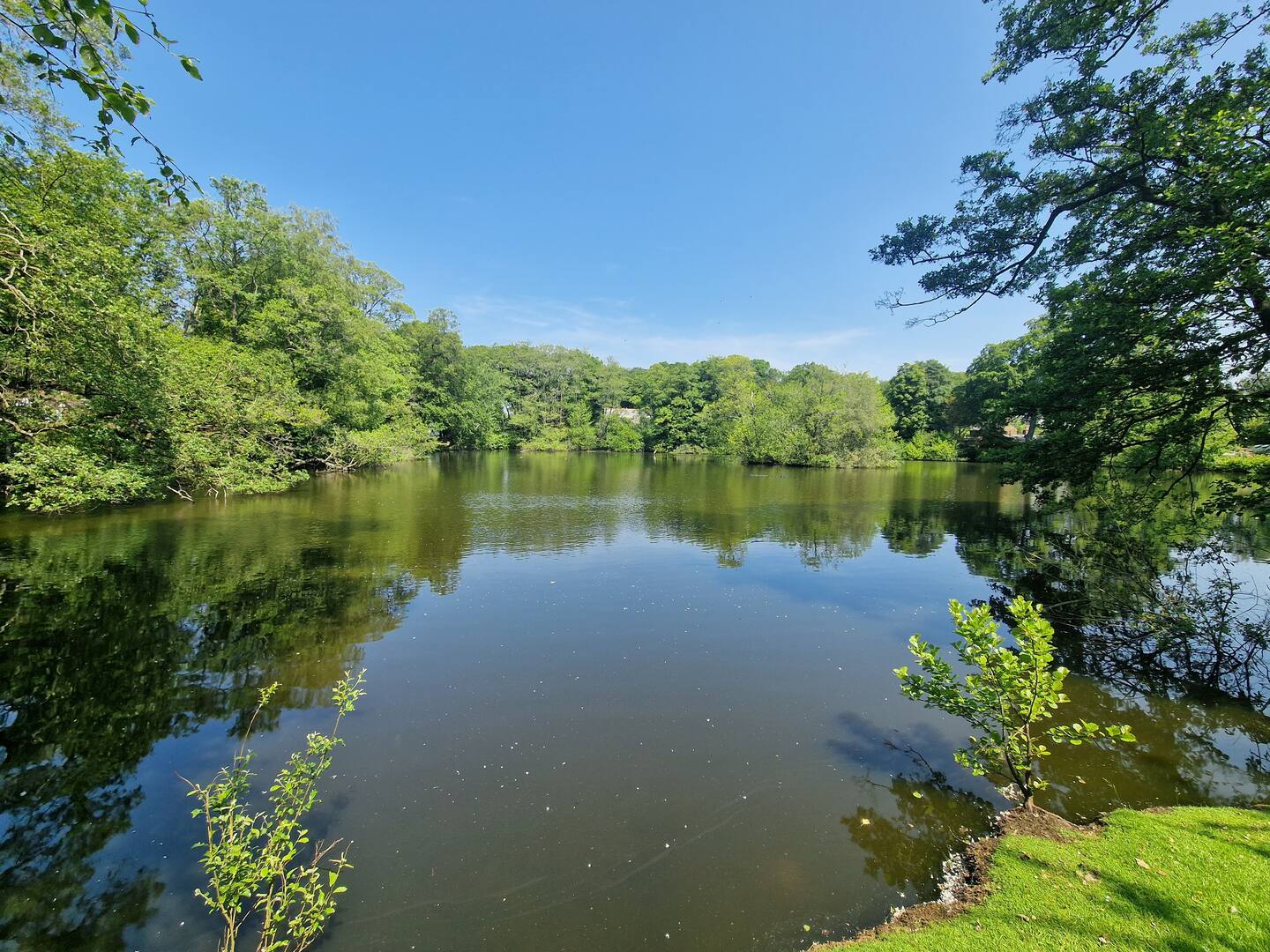 Oakmere — Cheshire holiday cottage photo 16