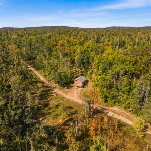 The cabin from above: just you and the forest