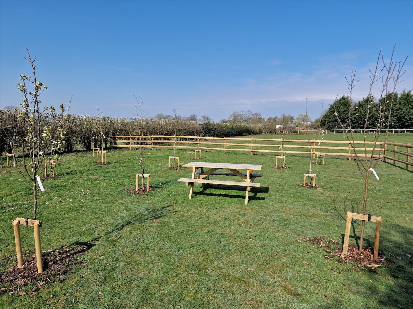 Acton Bridge Cottage — Cheshire holiday cottage photo 36