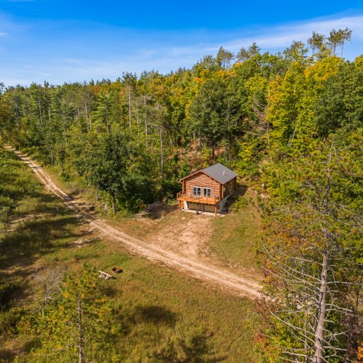 Private drive through the woods to the cabin