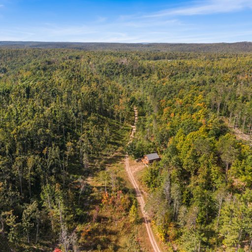 Wooded hills surrounding the property