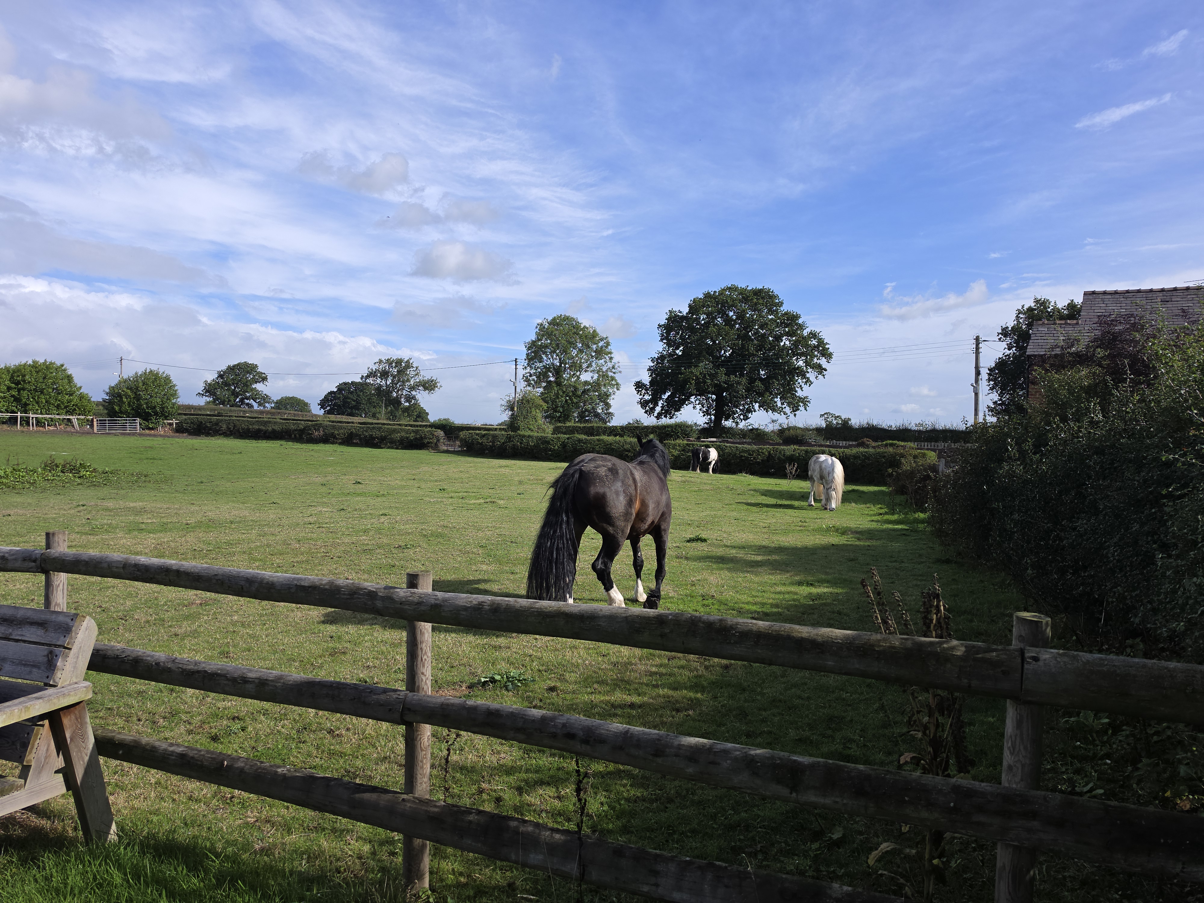 Acton Bridge Cottage — Cheshire holiday cottage photo 38
