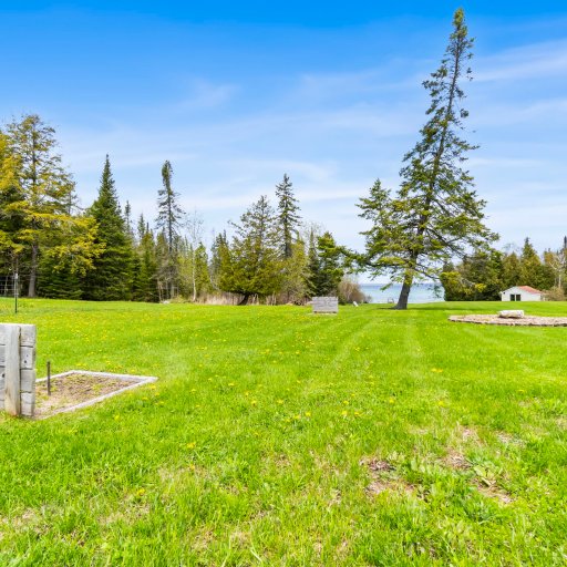 Room to roam — open lawn and tall pines on the shared 5-acre grounds, with Lake Huron just through the trees.