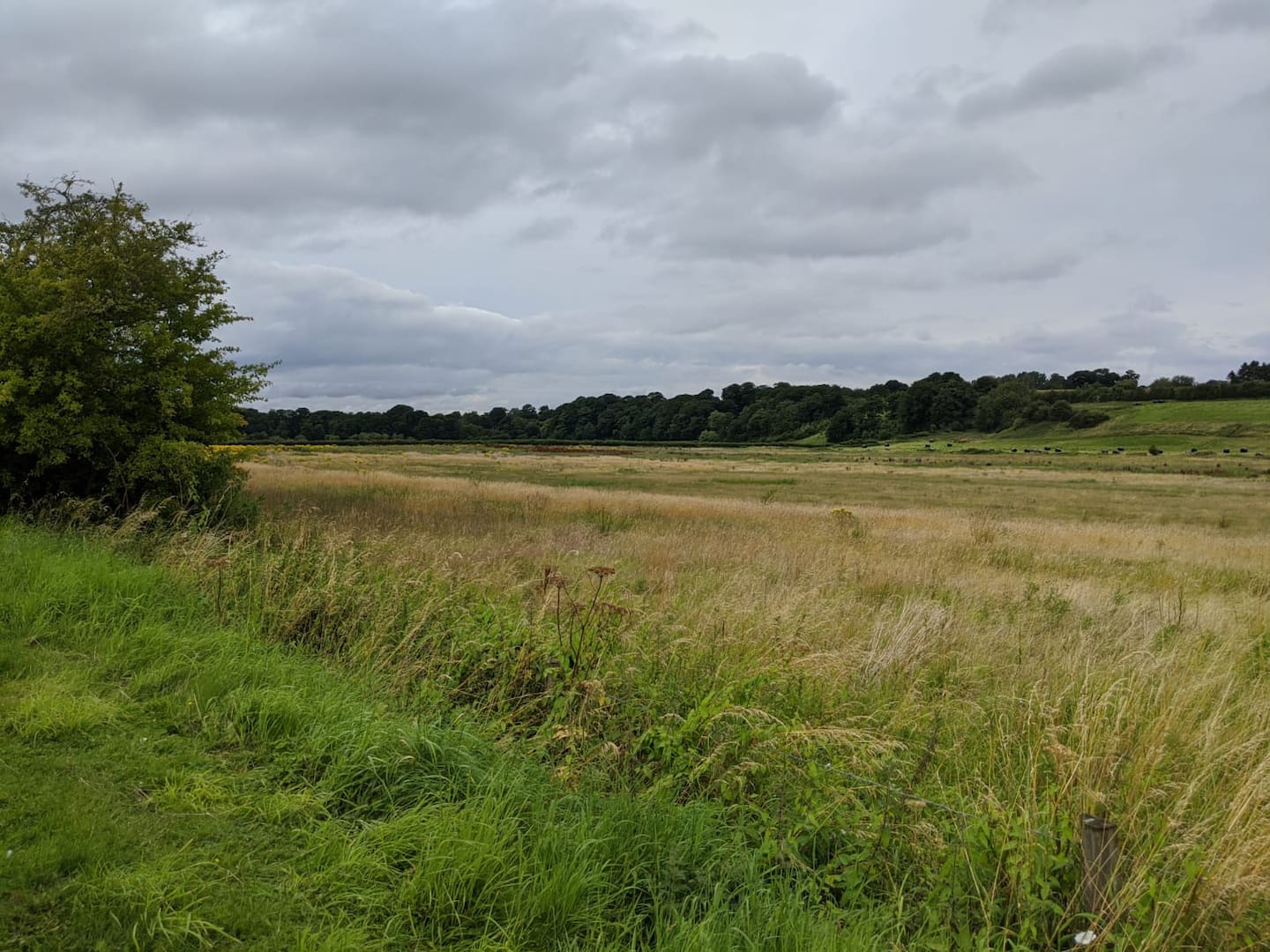 Lock Keeper's Cottage — Cheshire holiday cottage photo 52
